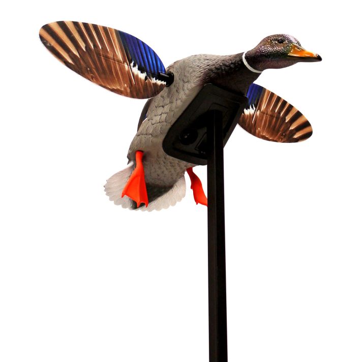 Mojo Outdoors HW24703P Elite Series Mini Mallard Drake Species Multi Color Plastic