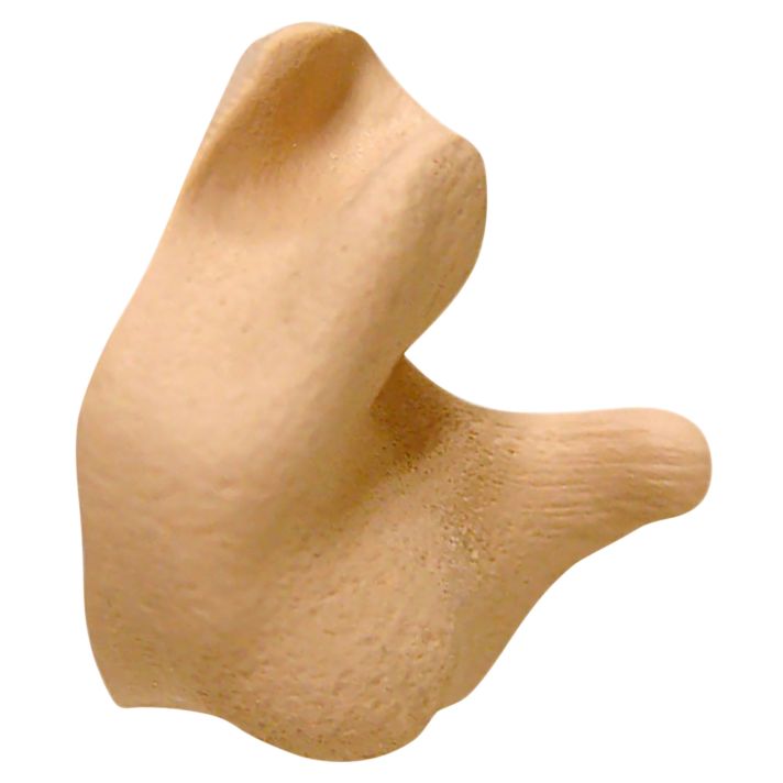 Radians CEP002T Custom Molded Earplugs Silicone 26 dB In The Ear Tan Adult