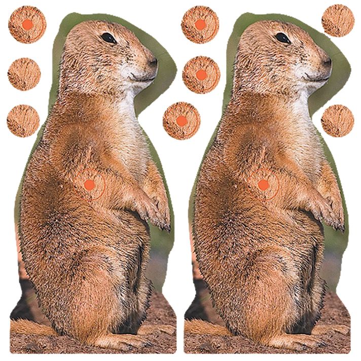 Birchwood Casey 34786 Shoot-N-C Reactive Target Self-Adhesive Paper Brown 8" Prairie Chuck 12 Pack