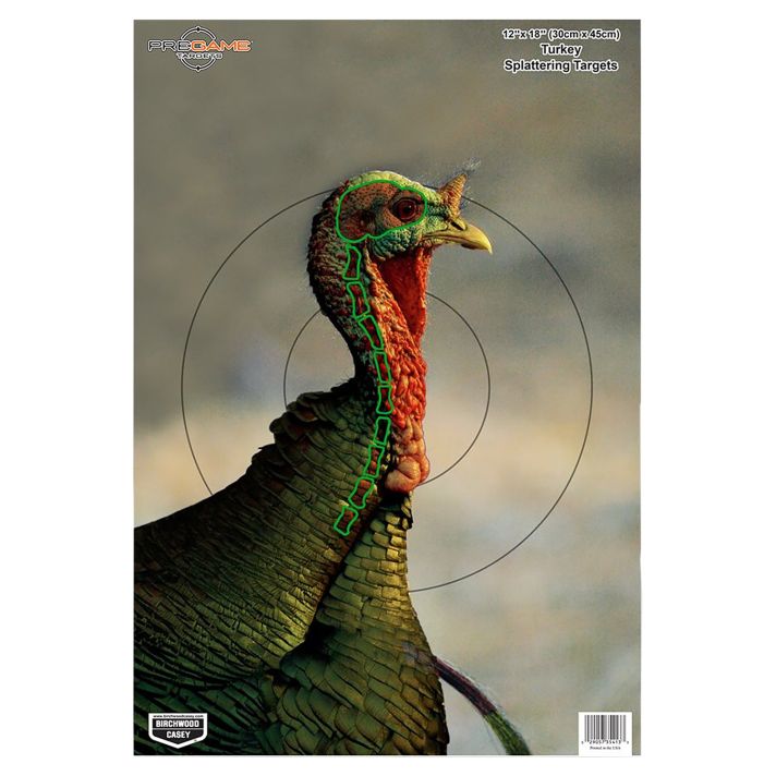 Birchwood Casey 35403 PregameTurkey Paper Hanging Universal 12" x 18" Multi-Color 8 Per Pkg